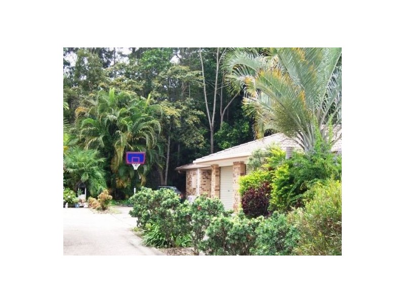 Murwillumbah NSW 2484