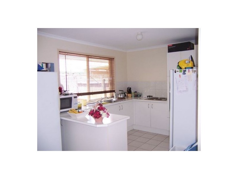 Murwillumbah NSW 2484