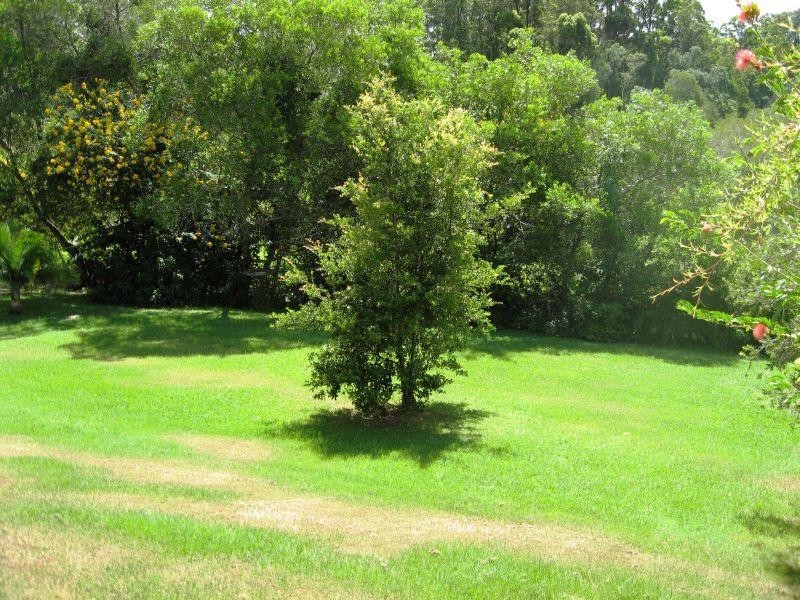 Murwillumbah NSW 2484