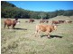 Burringbar NSW 2483