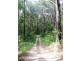 Urliup NSW 2484