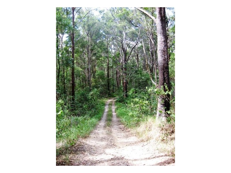 Urliup NSW 2484