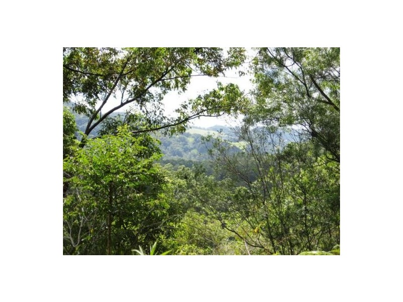 Urliup NSW 2484
