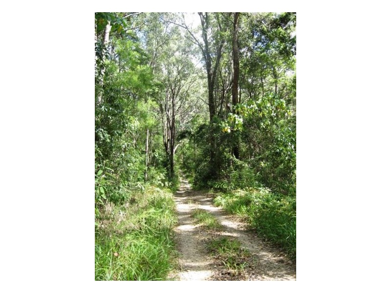 Urliup NSW 2484