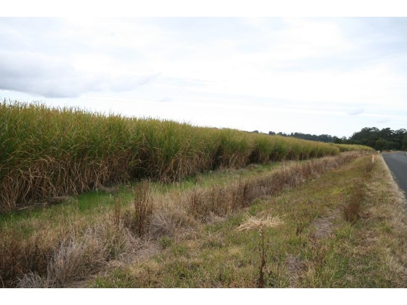 Murwillumbah NSW 2484