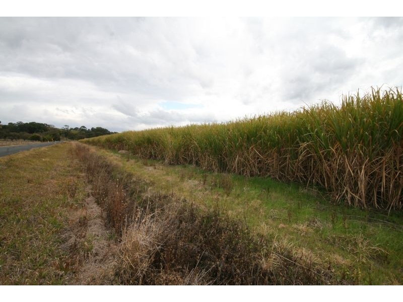 Murwillumbah NSW 2484