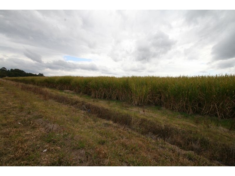 Murwillumbah NSW 2484