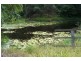 Palmvale NSW 2484