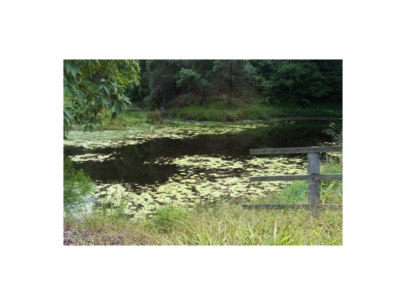 Palmvale NSW 2484