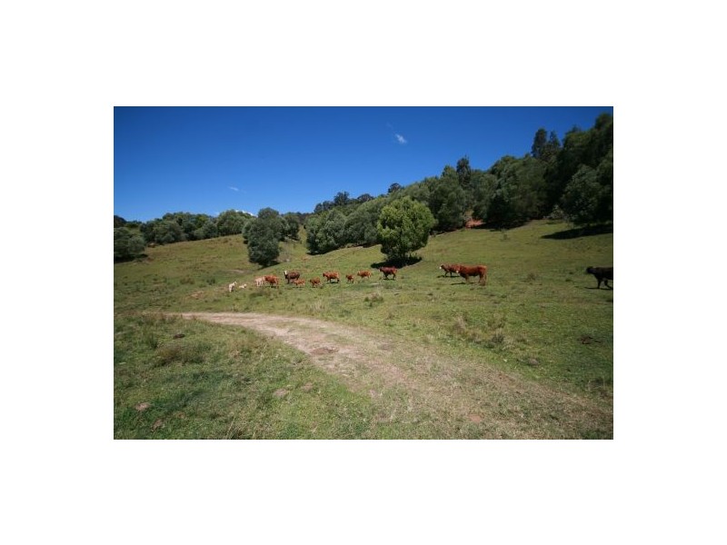 Palmvale NSW 2484