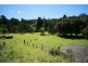 Palmvale NSW 2484
