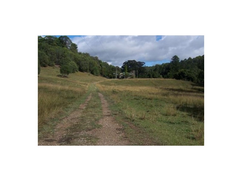 Palmvale NSW 2484