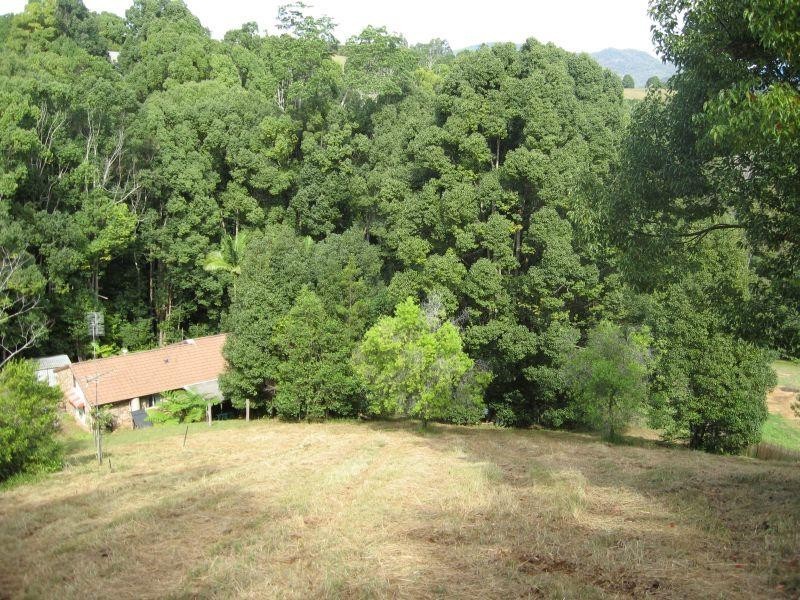 57 Braeside Dve, Uki NSW 2484