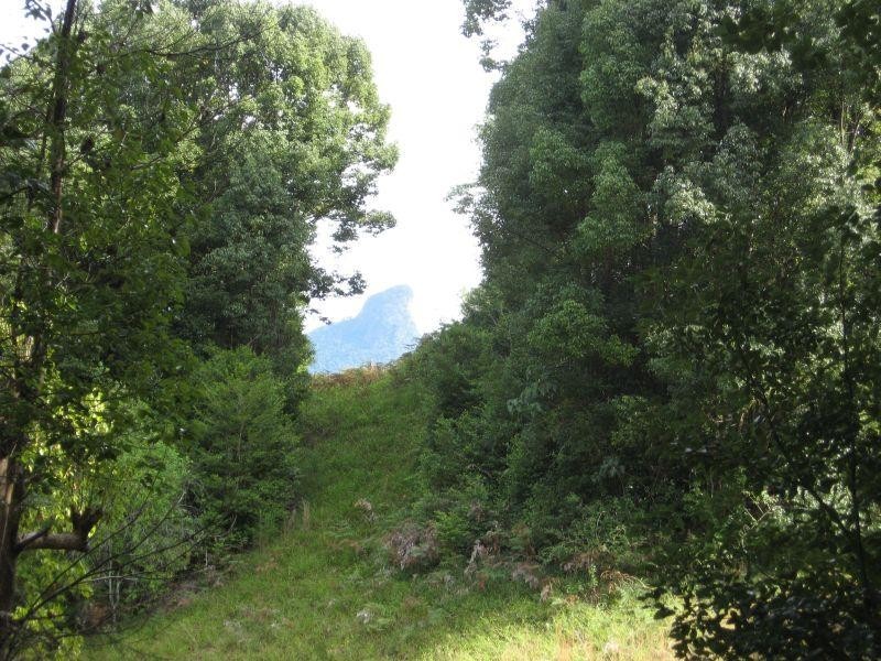 57 Braeside Dve, Uki NSW 2484