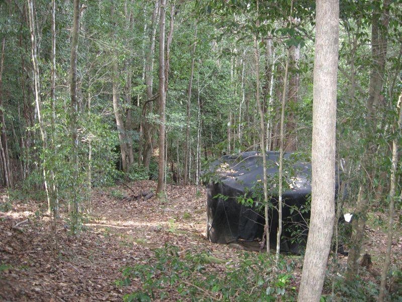 57 Braeside Dve, Uki NSW 2484