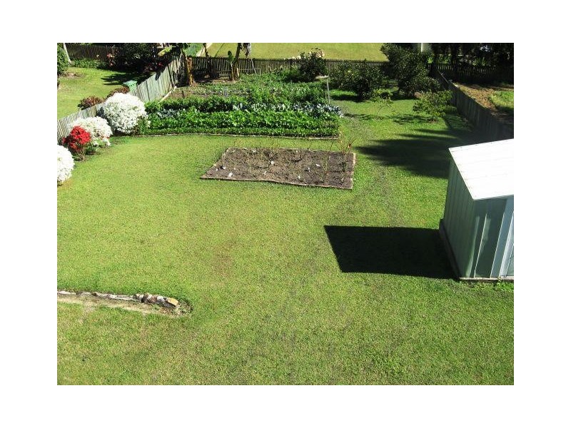 35  Myrtle St, Murwillumbah NSW 2484