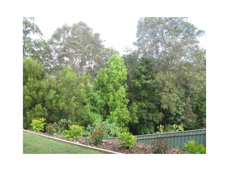 Banora Point NSW 2486