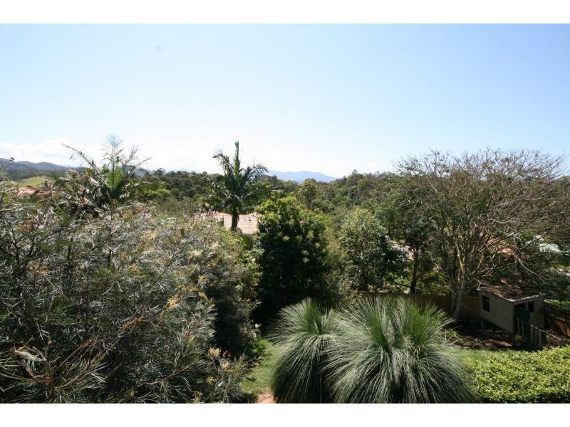 Murwillumbah NSW 2484