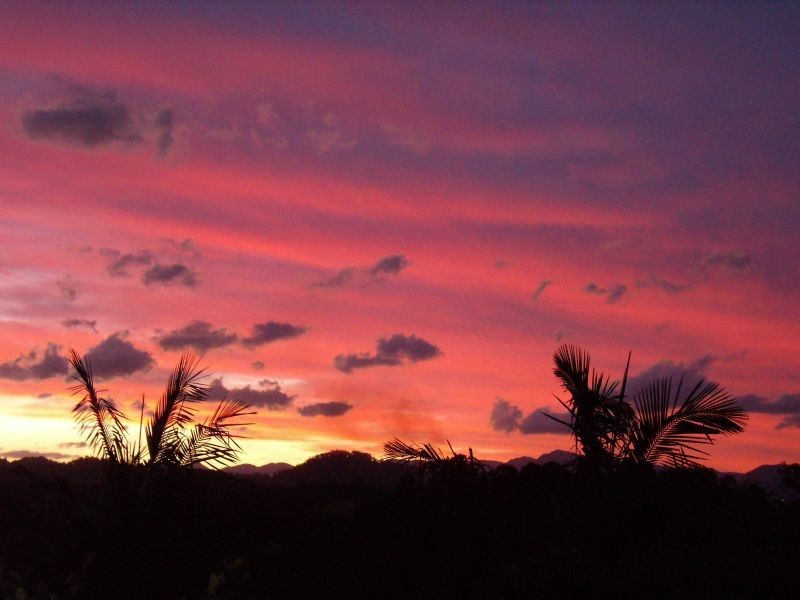 Murwillumbah NSW 2484