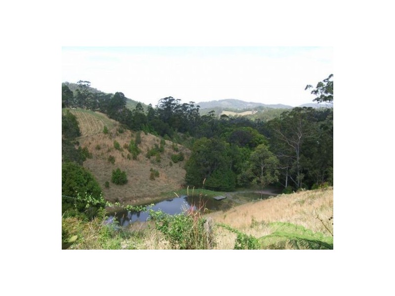 Murwillumbah NSW 2484