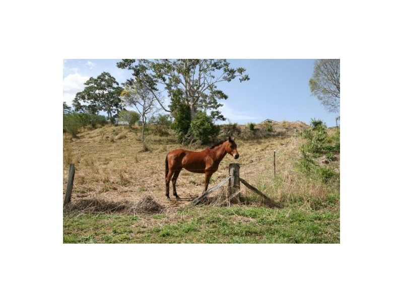 Murwillumbah NSW 2484