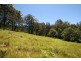 Murwillumbah NSW 2484