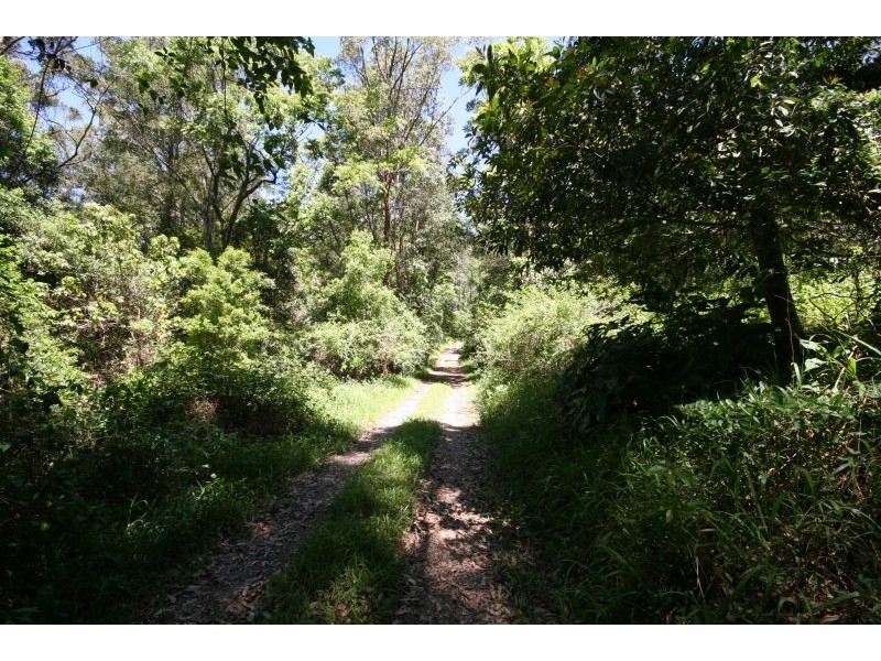 Hopkins Creek NSW 2484