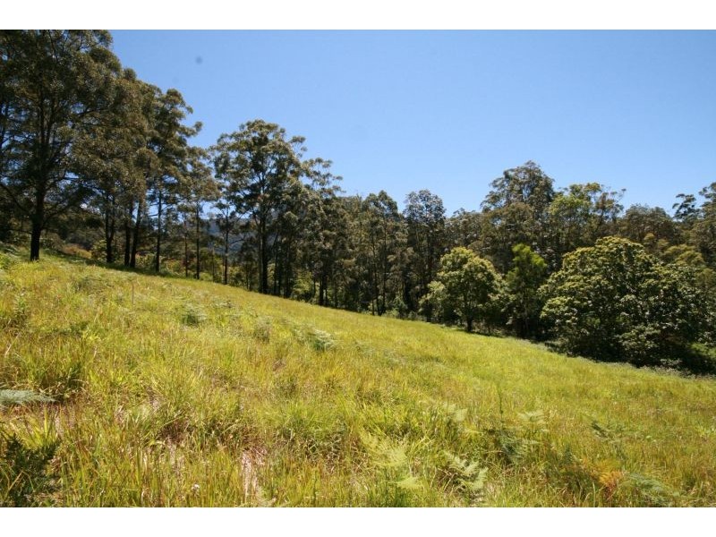 Hopkins Creek NSW 2484