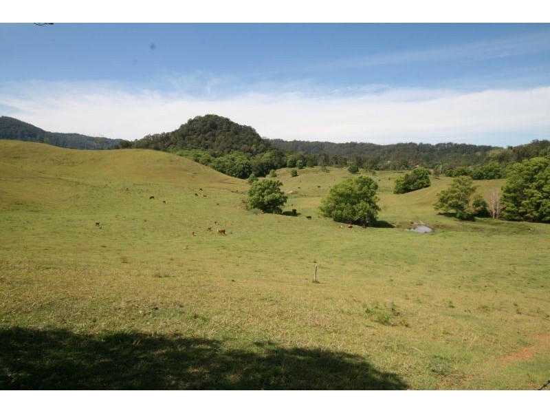 Nobbys Creek NSW 2484