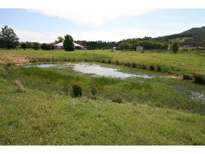 Nobbys Creek NSW 2484