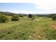Nobbys Creek NSW 2484