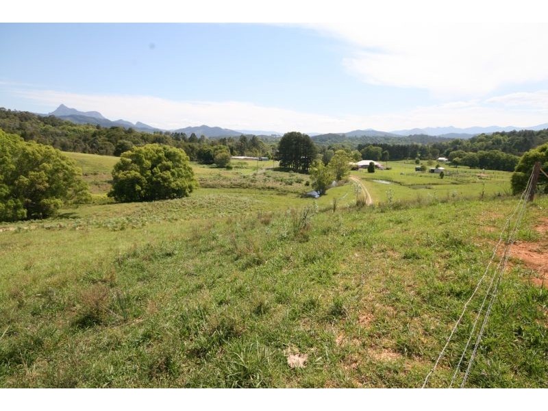 Nobbys Creek NSW 2484