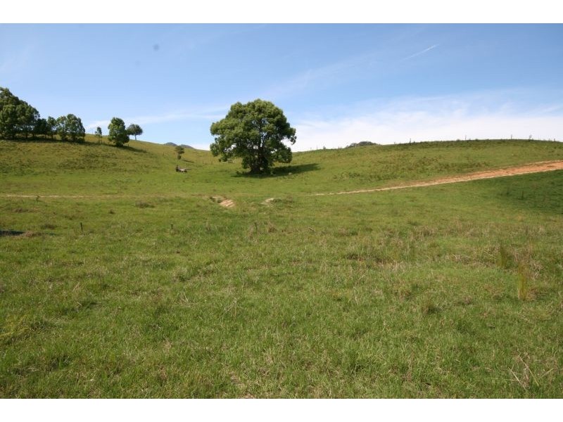 Murwillumbah NSW 2484