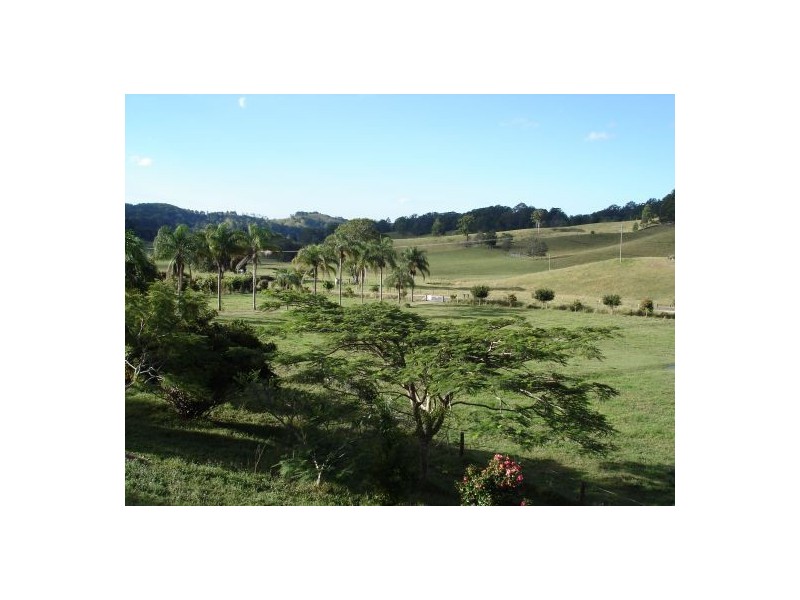 Reserve Creek NSW 2484