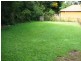 Tweed Heads NSW 2485