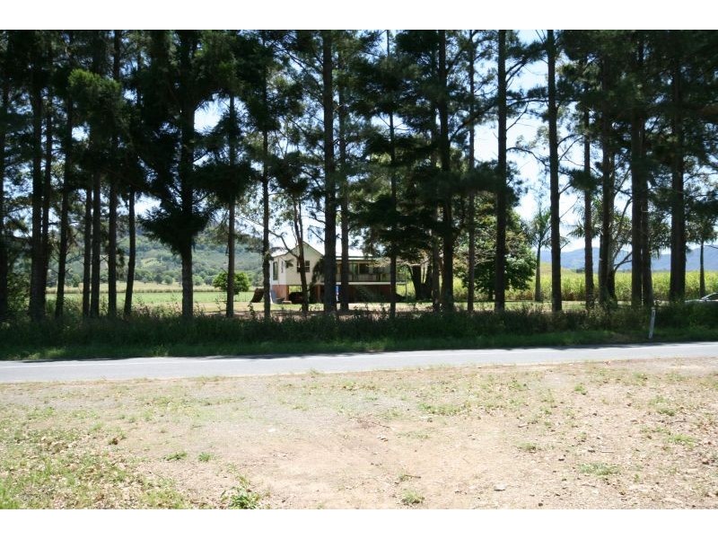 Murwillumbah NSW 2484