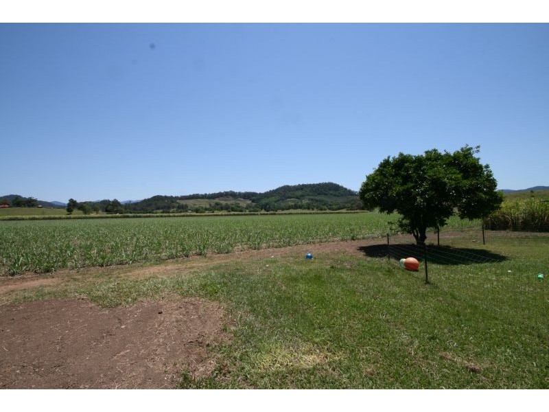 Murwillumbah NSW 2484