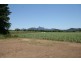 Murwillumbah NSW 2484