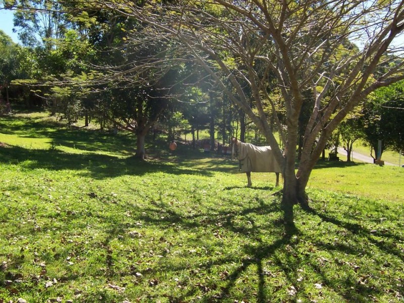 Cabarita Beach NSW 2488