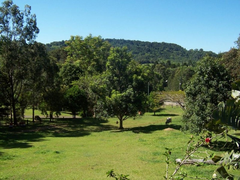 Cabarita Beach NSW 2488