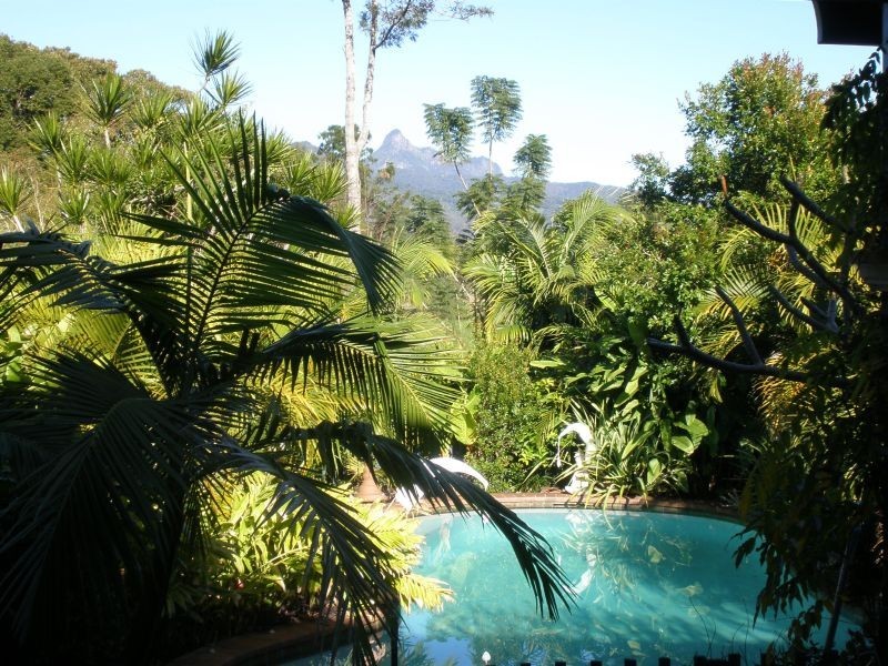 Murwillumbah NSW 2484