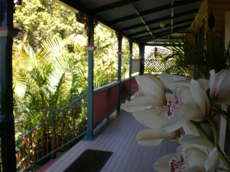 Murwillumbah NSW 2484