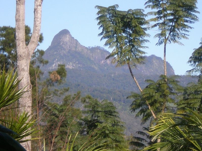 Murwillumbah NSW 2484