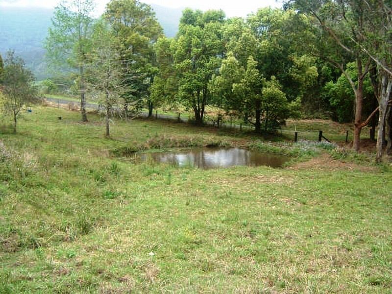 Murwillumbah NSW 2484