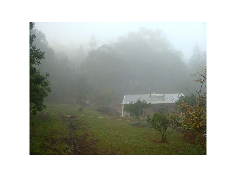 Murwillumbah NSW 2484