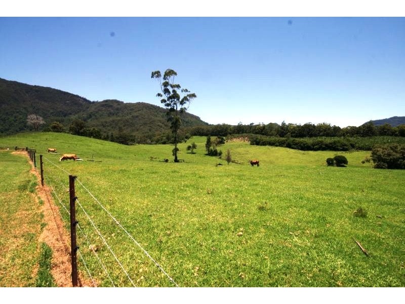 Murwillumbah NSW 2484