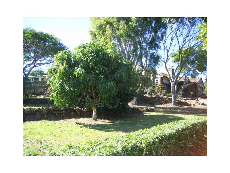 Terranora NSW 2486