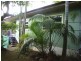 Murwillumbah NSW 2484