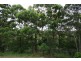 Cobaki NSW 2486