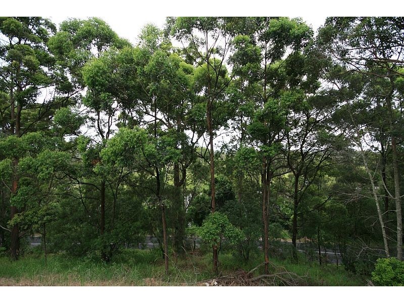 Cobaki NSW 2486